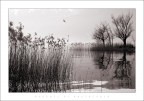 momenti di malinconia momenti di malinconia