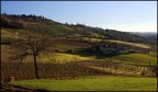 colline romagnole colline romagnole
