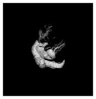 :::ABBRACCI ::: :::ABBRACCI :::