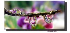 piccoli riflessi piccoli riflessi