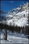 commenti e critiche ben accetti!
foto realizzata a 2100 m dopo una camminata di 2 ore con le racchette da neve...parco naturale di Devero.