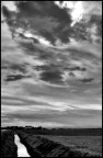 ..e la pioggia verrà... ..e la pioggia verrà...