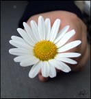 per te...