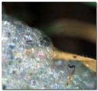 Che roba è? Che roba è?