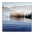 l'essenza della quiete l'essenza della quiete