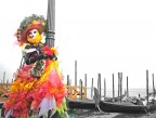 Invio una serie di foto del carnevale di venezia.
Alcune sono modificate con Photoshop, vorrei un vostro parere perch devo stamparle per incorniciarle e metterle in una parete a casa. Spero che qualche buon fotografo e qualche mago del PS mi aiutino.
Ah, come le incorniciereste?
dI QUESTA INVIO ANCHE L'ORIGINALE PERCH NON SONO PIENAMENTE CONVINTO DEL LAVORO