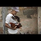 el descanso del gallo luchador el descanso del gallo luchador