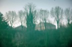 Foresta Onirica Foresta Onirica