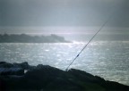 PESCA SOLITARIA...