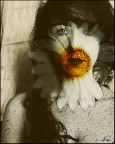flower style flower style