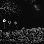 una notte diversa una notte diversa