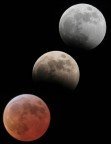Eclissi di Luna Eclissi di Luna