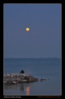Amore al chiar di Luna Amore al chiar di Luna