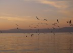 Tramonto al lago Tramonto al lago