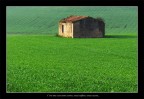 Green Grass Green Grass