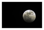 moon moon