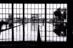 in piscina in piscina