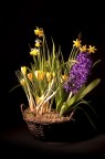 Vaso di fiori Vaso di fiori