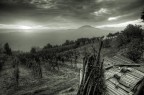 Io odio odio odio odio svegliarmi presto la mattina...
Ma a volte ne vale veramente la pena