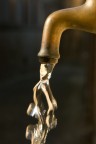 Golden water Golden water