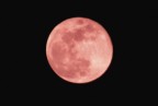 Luna rossa Luna rossa
