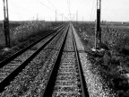 "La strana intimit di quelle due rotaie.La certezza di non incontrarsi mai.L'ostinazione con cui continuano a corrersi di fianco.Gli ricorda qualcosa, tutto questo." A.B.