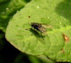 e la sua ombra 2 e la sua ombra 2