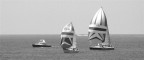 Fotoritoccata, trasformazione in bianco nero e ritaglio panoramico.