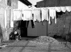 bucato