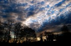 il cielo di stamattina mi ha proprio colpito e cos l'ho fotografato. Per esaltare i toni l'ho un po' lavorato con capture Nx...
che ve ne pare?