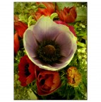 Good Morning Good Morning