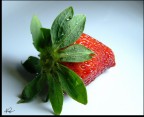 fragola2 fragola2