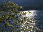 Riflesso sul lago di Tovel