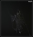 Intreccio...... Intreccio......