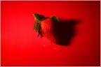 Strawberry IIIrd Strawberry IIIrd