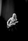 Steve Morse Steve Morse