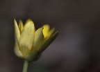 riflessione