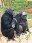 zoo zoo
