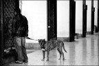 Torino, 11-03-07 (3) Torino, 11-03-07 (3)