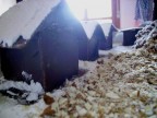 Abbagli nel paesino edi cioccolato Abbagli nel paesino edi cioccolato