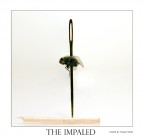 the impaled (remake) the impaled (remake)