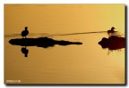 Tramonto alle saline.... Tramonto alle saline....