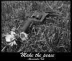 ...make the peace ...make the peace