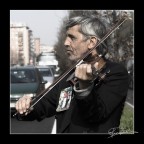 fierezza e onore fierezza e onore