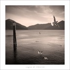 sogno di libertà sogno di libertà