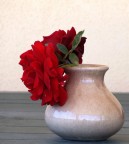 rosa rossa rosa rossa