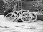 BICI NELLA NEVE BICI NELLA NEVE
