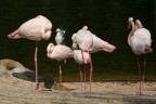 giornata al bio parco giornata al bio parco