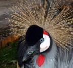 devo proprio cambiare parrucchiere..... devo proprio cambiare parrucchiere.....