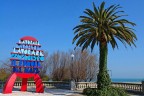Preferisco il rumore del mare Preferisco il rumore del mare